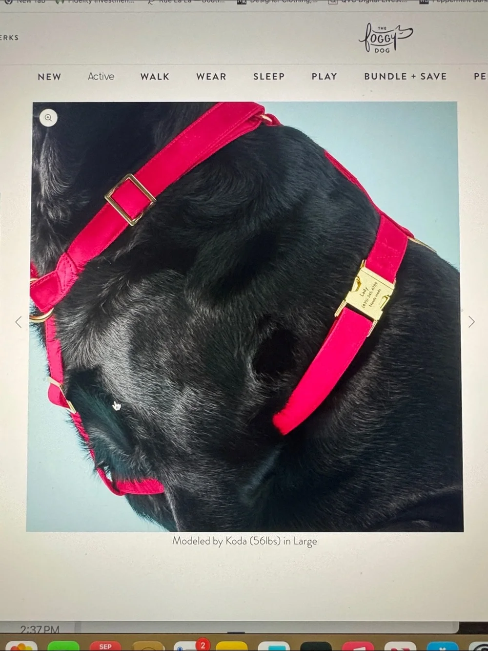 The Foggy Dog Fuchsia Adjustable No-Pull Harness with Gold Hardware NWOT